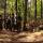 Warszawa - PAINTBALL NA POLIGONIE